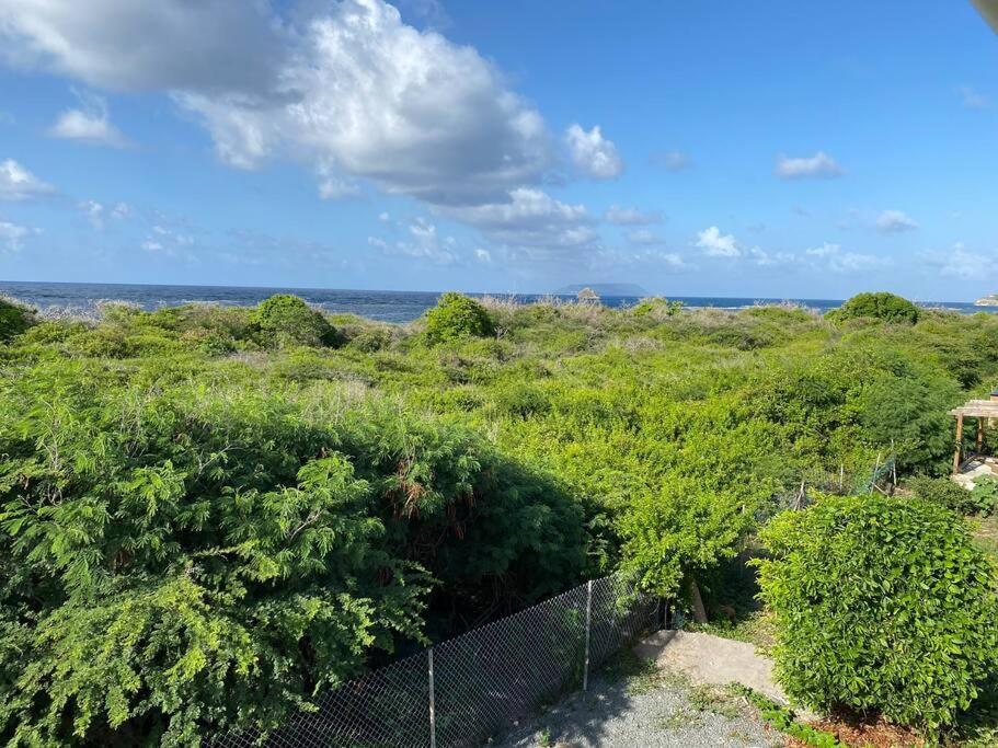 סן-פרנסואה Maison Bord De Mer A 100 M מראה חיצוני תמונה