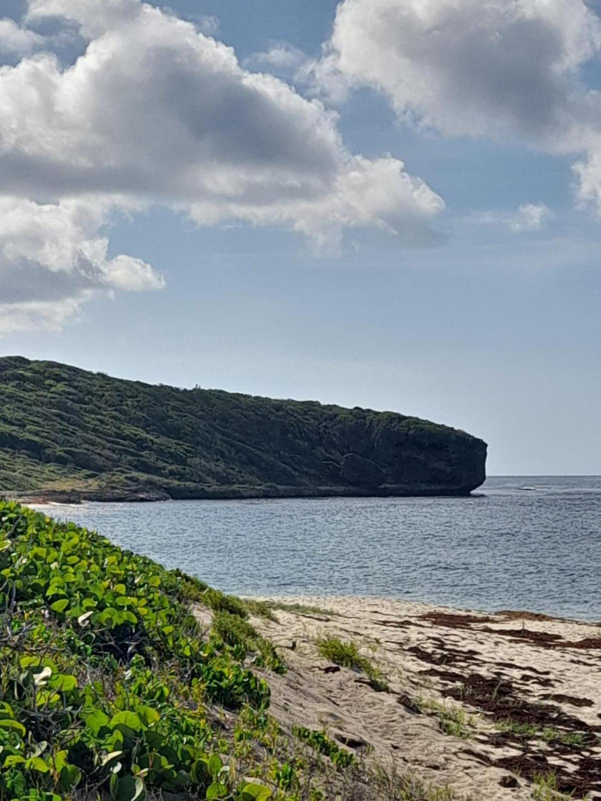 סן-פרנסואה Maison Bord De Mer A 100 M מראה חיצוני תמונה